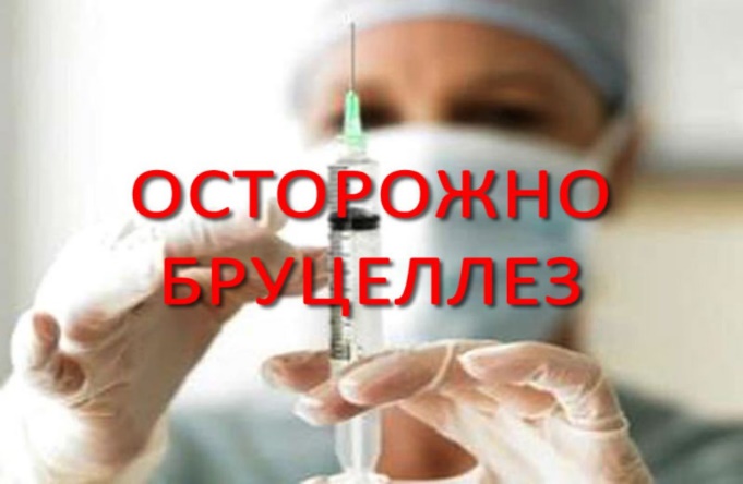 Памятка о профилактике бруцеллеза.